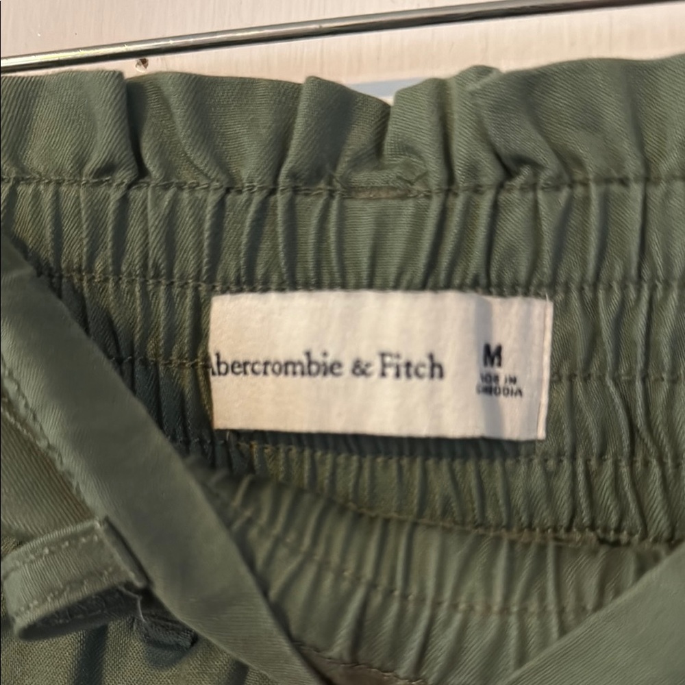 NWT Abercrombie & Fitch Green Elevated Joggers with Relaxed Fit - Picture 3 of 5